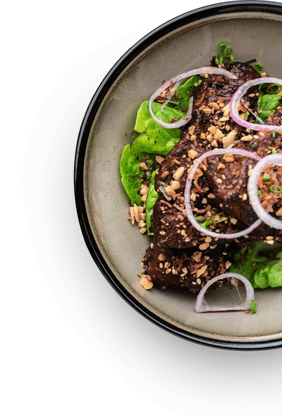 Beef bowl with onions